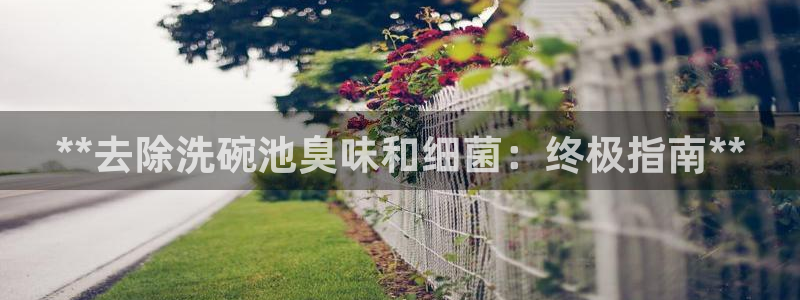尊龙手机客户端app