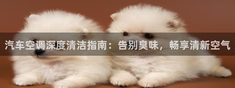 尊龙官网APP下载