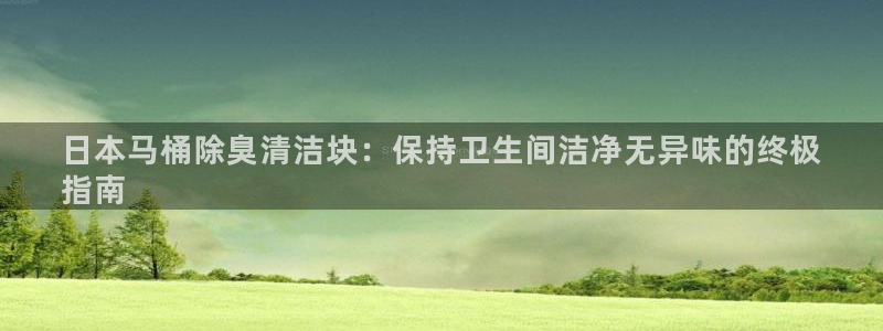 尊龙官网免费下载安装：日本马桶除臭清洁块：保持卫生间洁净