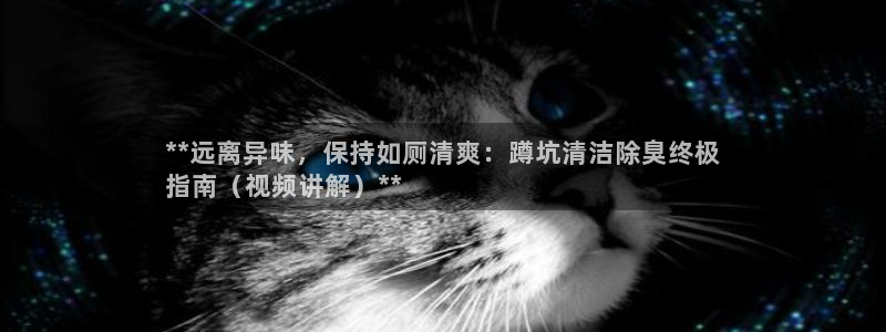 尊龙凯时泰安