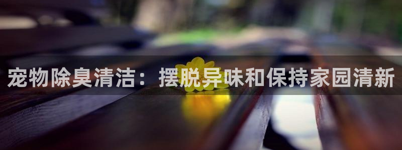 尊龙凯时家居是品牌吗