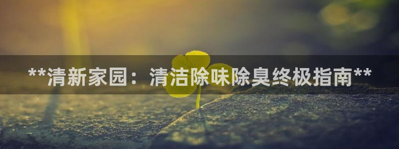 AG尊龙注册在线游戏：**清新家园：清洁除味除臭终极指南
