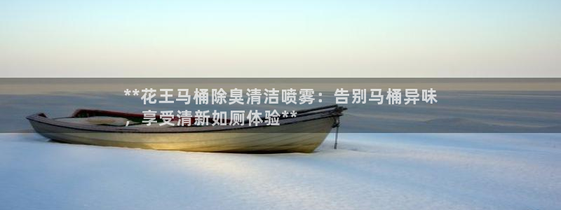 尊龙凯时官网平台：**花王马桶除臭清洁喷雾：告别马桶异味