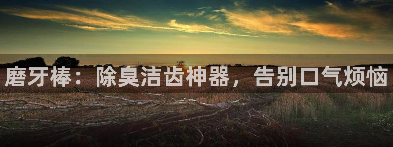 尊龙人生就是博D88：磨牙棒：除臭洁齿神器，告别口气烦恼
