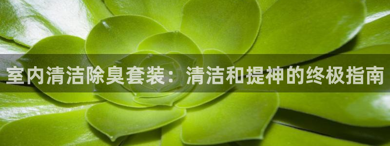 尊龙凯时代理佣金发不发