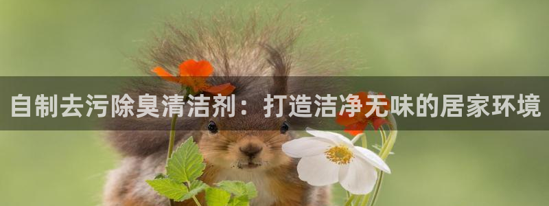 尊龙凯时是大平台吗：自制去污除臭清洁剂：打造洁净无味的居