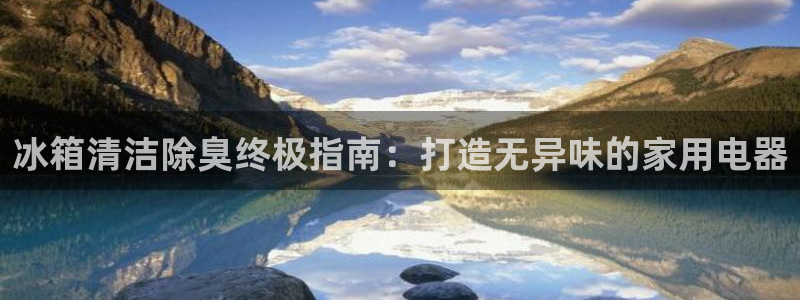 d88尊龙官网登录免费下载：冰箱清洁除臭终极指南：打造无