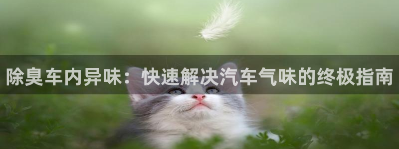 尊龙网址登录官网：除臭车内异味：快速解决汽车气味的终极指
