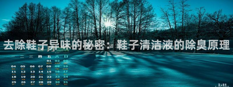 首页尊龙d88国际：去除鞋子异味的秘密：鞋子清洁液的除臭
