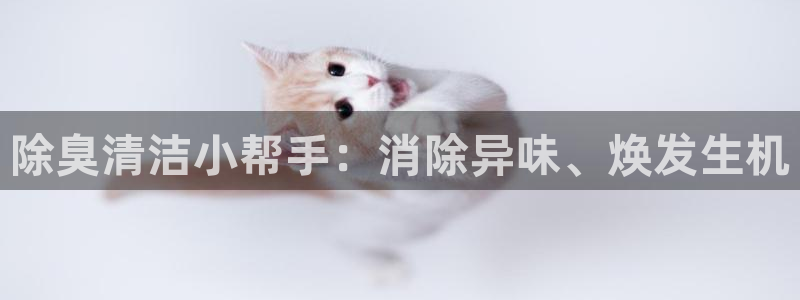 尊龙 下载