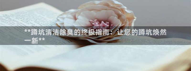 ZL尊龙凯时集团：**蹲坑清洁除臭的终极指南：让您的蹲坑