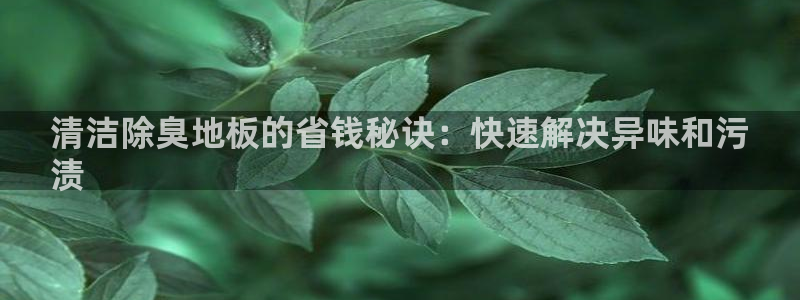 尊龙凯时几百万怎么下
