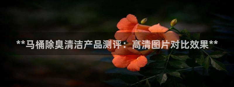 尊龙新版app首页：**马桶除臭清洁产品测评：高清图片对