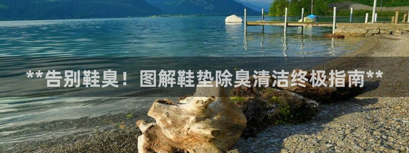 尊龙登录会员登录：**告别鞋臭！图解鞋垫除臭清洁终极指南