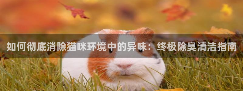 尊龙app认可ag发财网