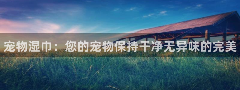 尊龙游戏官方网