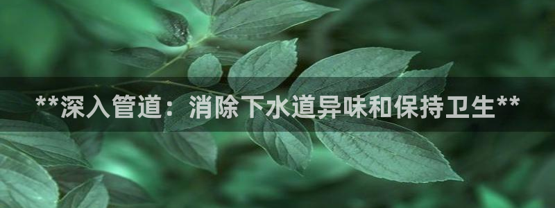 尊龙d88手机登录免费下载：**深入管道：消除下水道异味