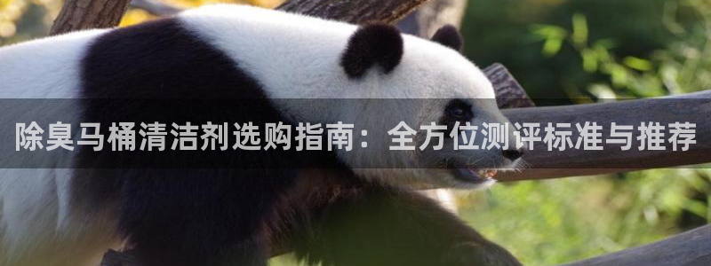 尊龙t600怎么样