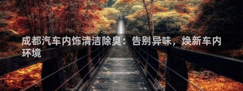 ag尊龙凯时俱乐部：成都汽车内饰清洁除臭：告别异味，焕新