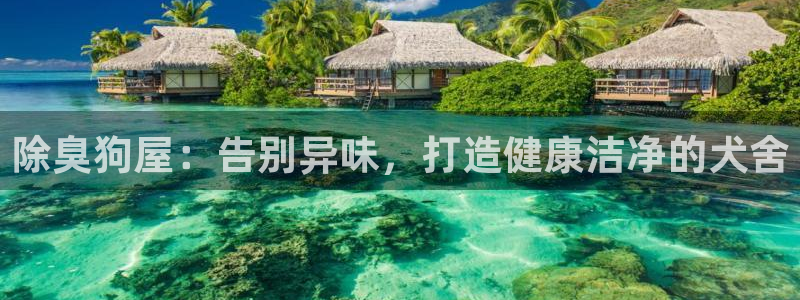 尊龙人生就是博一下阿扎尔