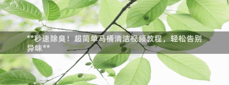 Z6尊龙老版