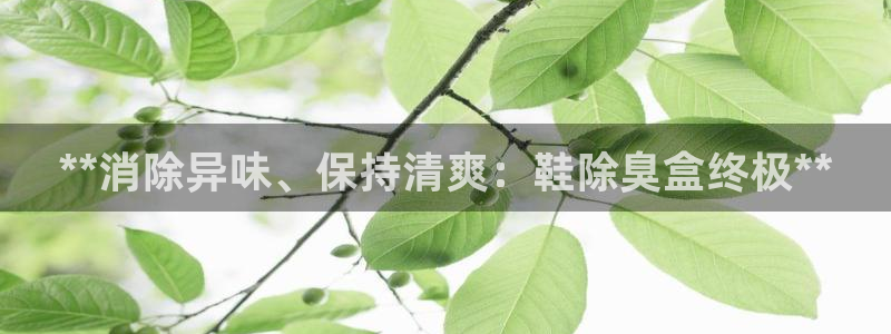 尊龙人生就是博旧版手机可靠送38元