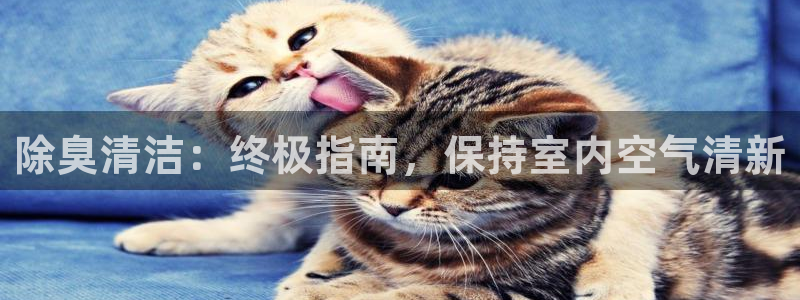 凯时a88