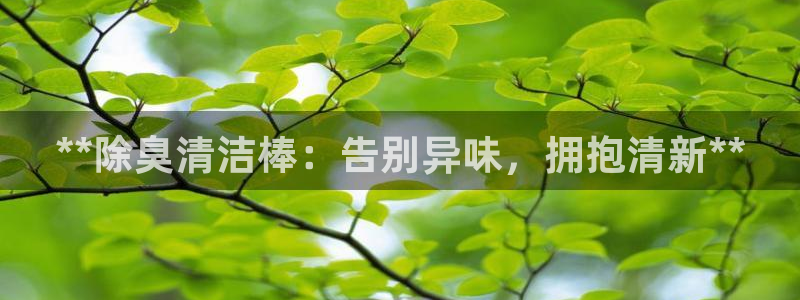尊龙最经典的三个角色