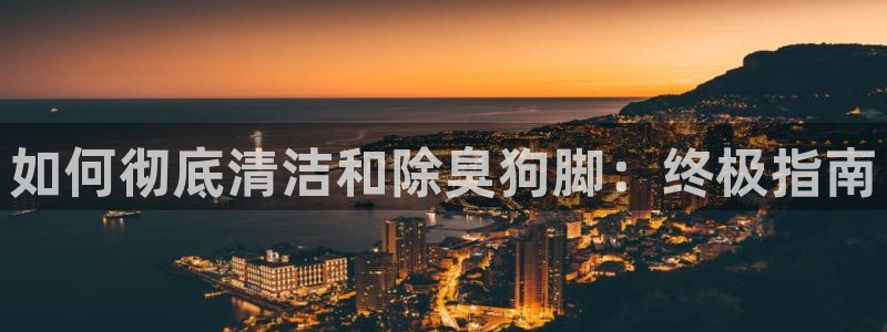 尊龙凯时网页版