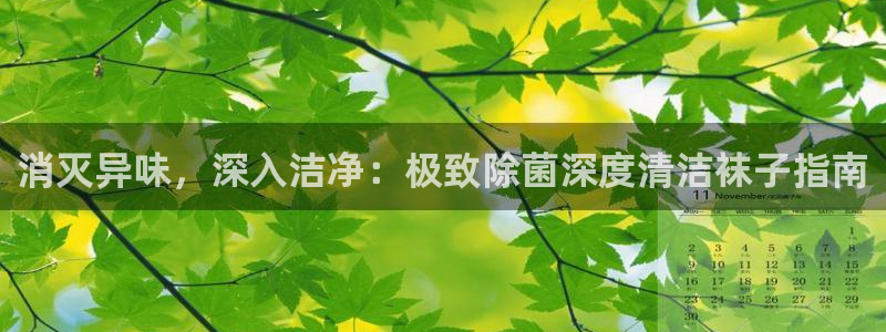 凯时平台官网RA来就送38：消灭异味，深入洁净：极致除菌