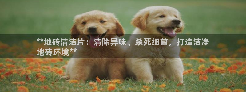 尊龙凯时是赌博嘛
