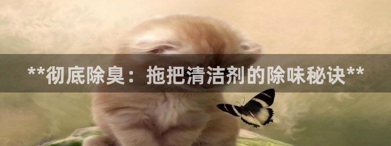 尊龙ag旗舰厅登陆