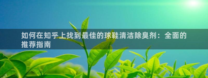 凯时国际网站域名