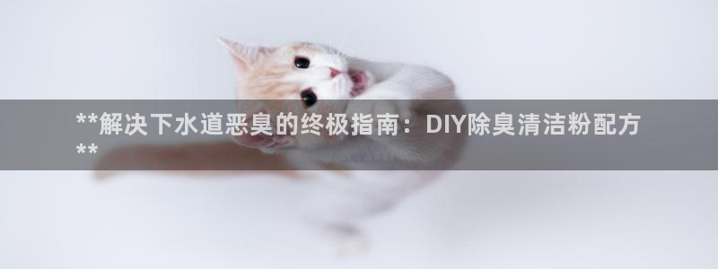 尊龙ag旗舰厅手机版：**解决下水道恶臭的终极指南：DI