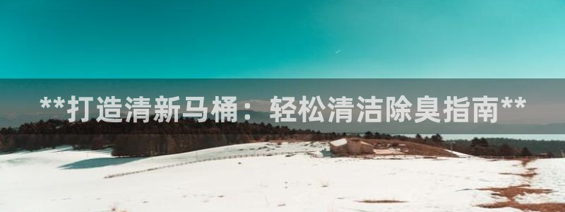 尊龙官网APP下载：**打造清新马桶：轻松清洁除臭指南*