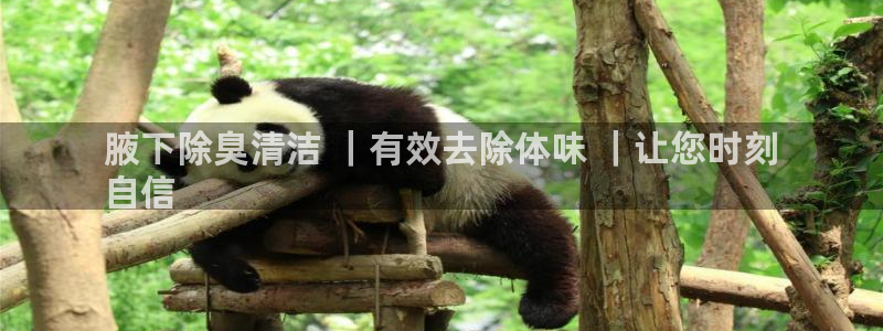 尊龙凯时怎么注销账号：腋下除臭清洁 ｜有效去除体味 ｜让
