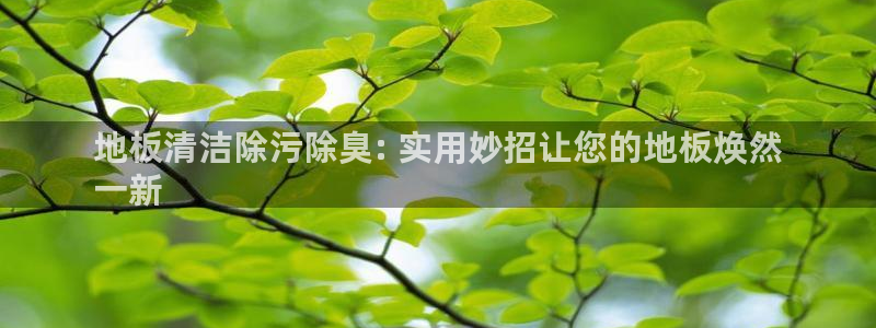 尊龙ag旗舰厅官网·(中国)官方入口