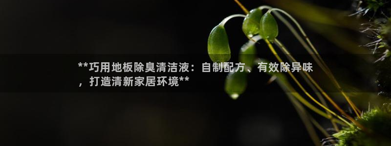 尊龙用现金一下可靠送38元