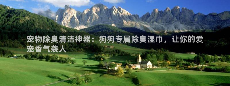 尊龙光学怎么样：宠物除臭清洁神器：狗狗专属除臭湿巾，让你
