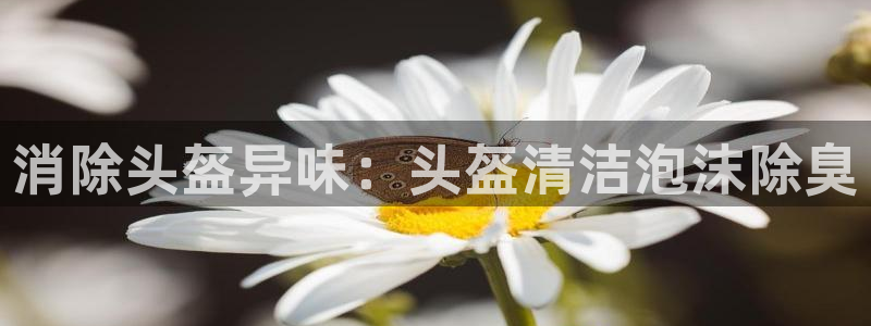 尊龙d88手机版下载