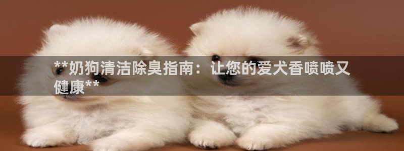 尊龙凯时 - 人生就是搏手机登录：**奶狗清洁除臭指南：