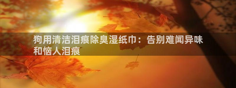 凯时国际平台有人赢吗