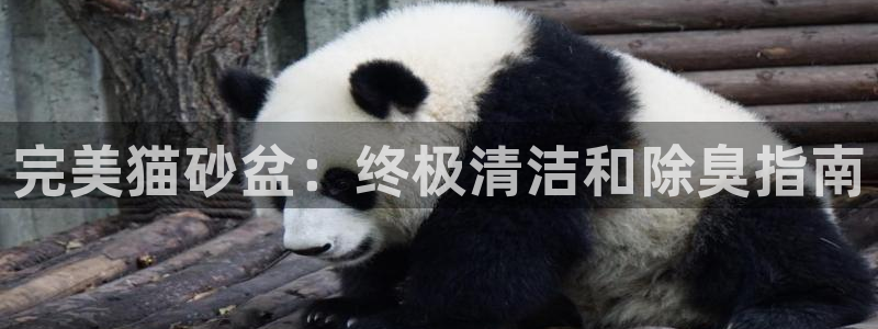 尊龙官网网页版