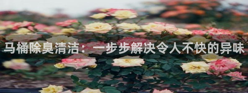 尊龙凯时代理能提出来不