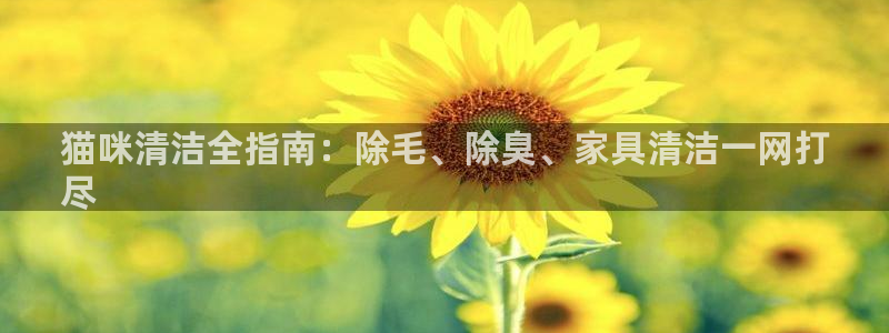 尊龙凯时有没有出不了款的情况