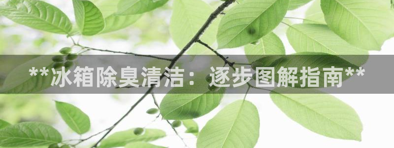z6尊龙官网