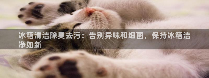尊龙凯时平台还是万博好