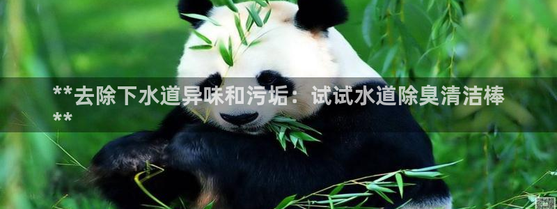 尊龙目前在哪