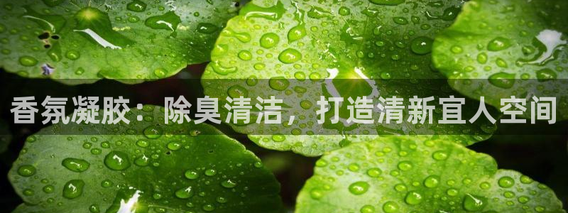尊龙服饰有限公司地址