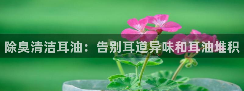 凯时登录首页,凯时K66：除臭清洁耳油：告别耳道异味和耳